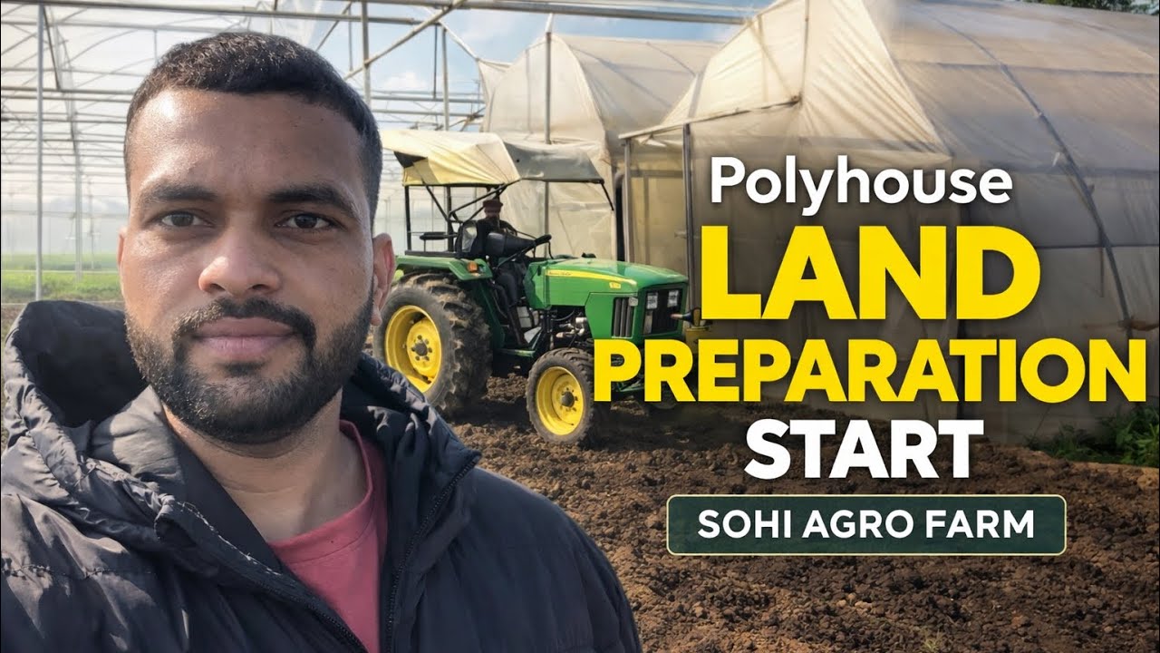 Polyhouse Land Preparation start 