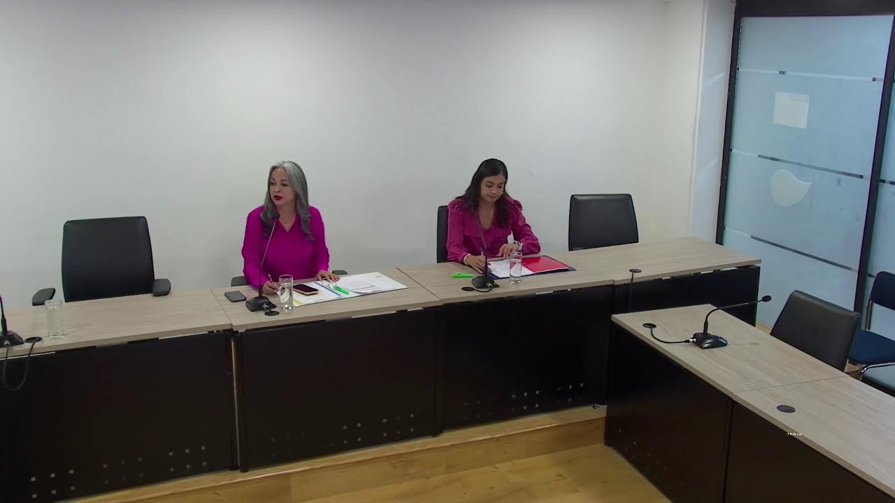 Sesión Nro. 019 Ordinaria de la Comisión de Desarrollo Parroquial.