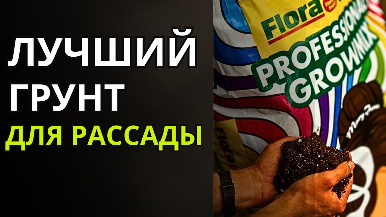 Дача в Германии. Это точно лучший грунт для посева семян и выращивания рассады?Даже не сомневайтесь!
