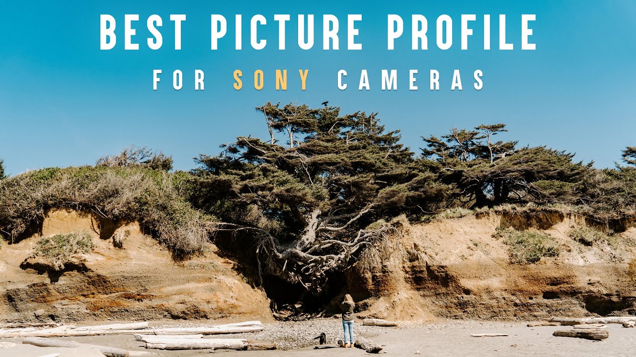 HLG2 on Sony - is this the best??