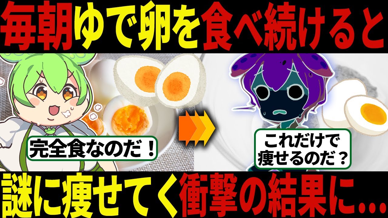 【衝撃】毎朝ゆで卵を食べ続ると、衝撃の結果に...【ずんだもん＆ゆっくり解説】