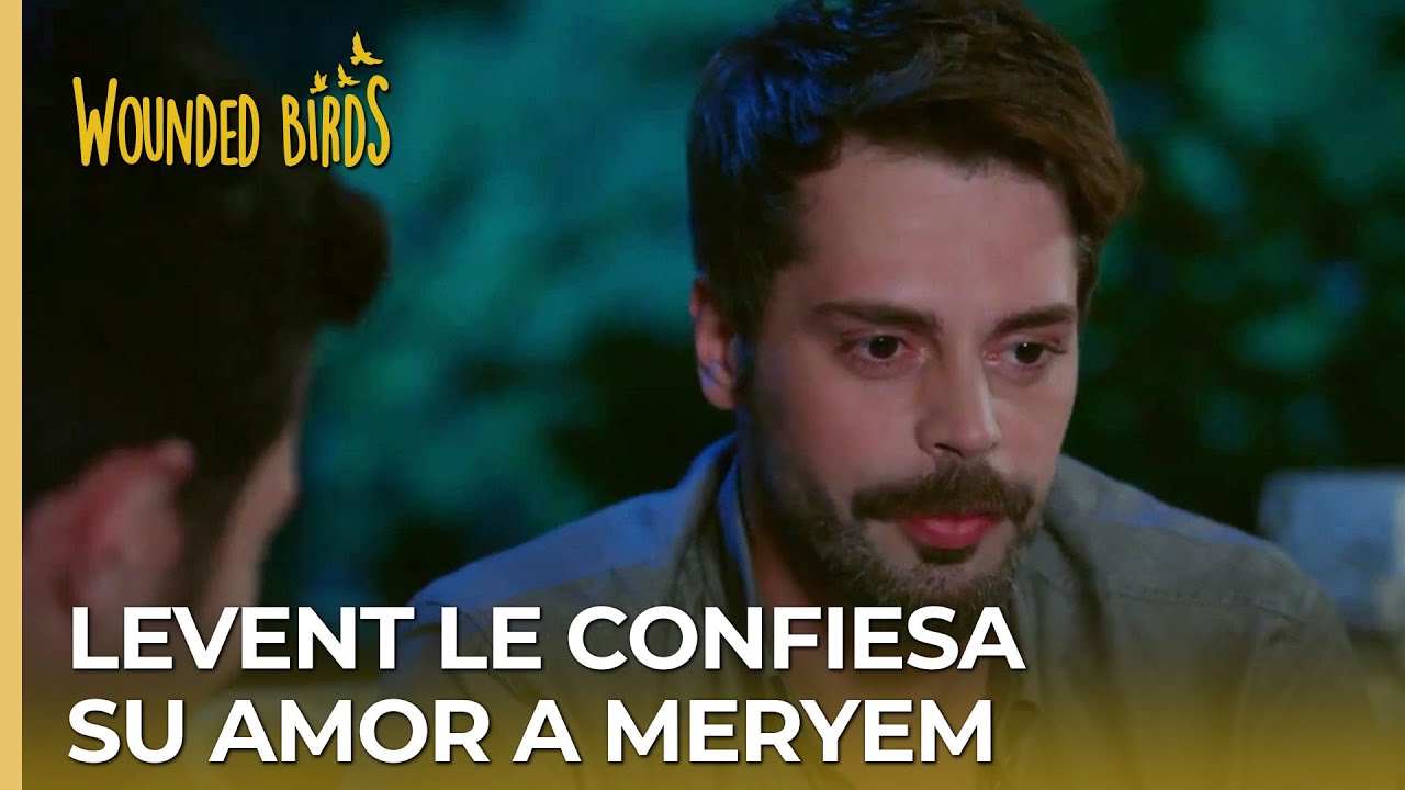 Levent le confiesa su amor a Meryem  |  Omer Sueños Robados Capítulo 72
