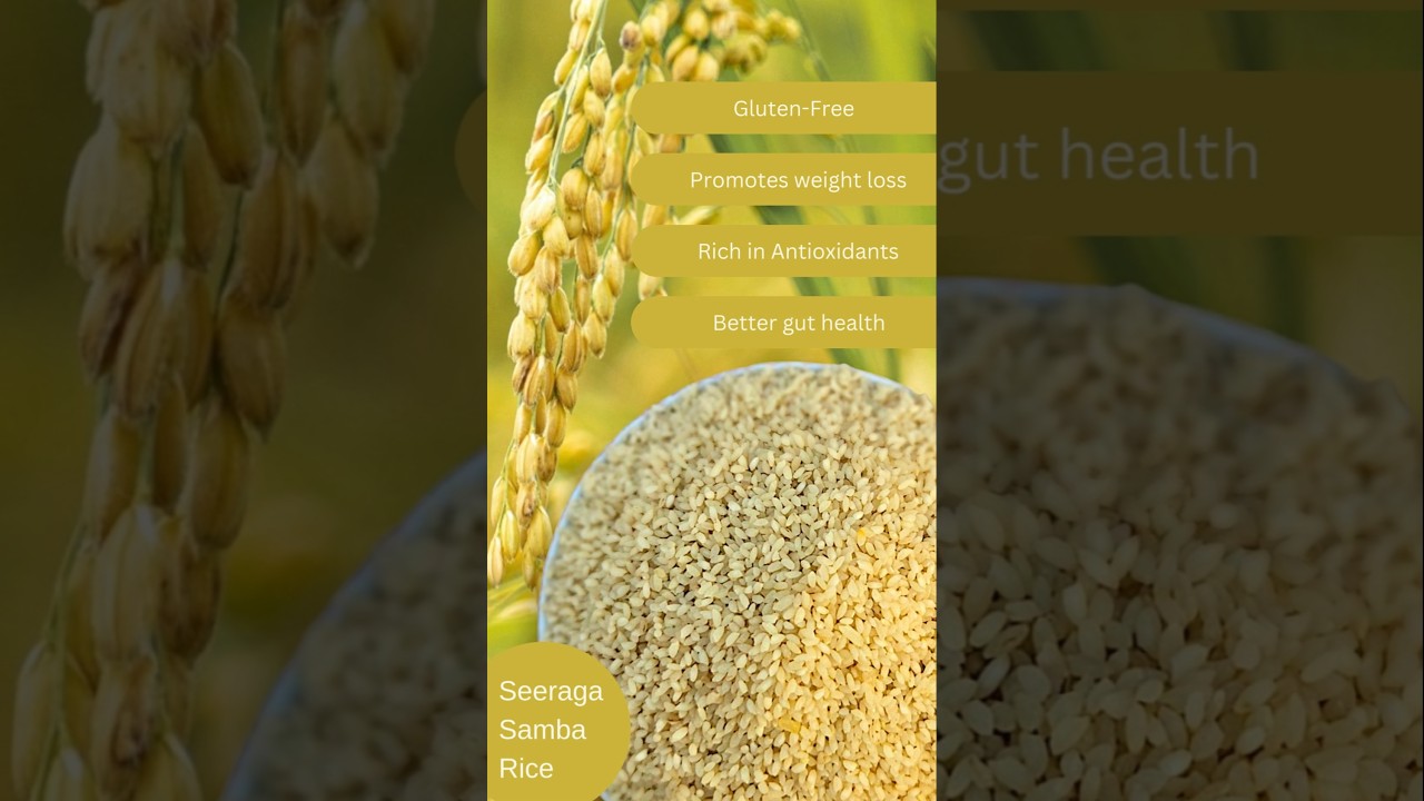 Seeraga Samba rice health benefits #seeragasamba #jeerarice #ricebowl #healthyrice #nutrition #rice