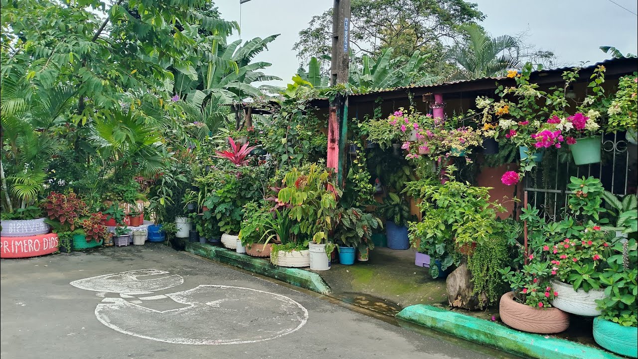 Recorrido o actualización por mi jardín #mascombersando