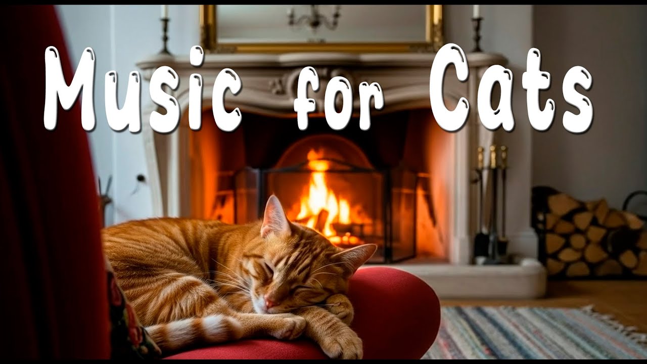 Deep Sleep Cat Music 🐈 Antistress Background Music for Cats, Relaxing, Chilling