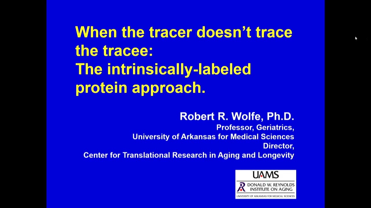 New Method and Models to Study Human Metabolism with Stable Isotope Tracers