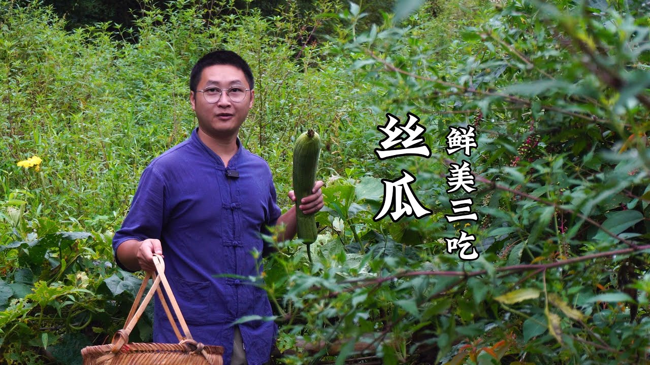 丝瓜季必试！Homemade 3 dishes with my garden丝瓜，鲜到停不下来