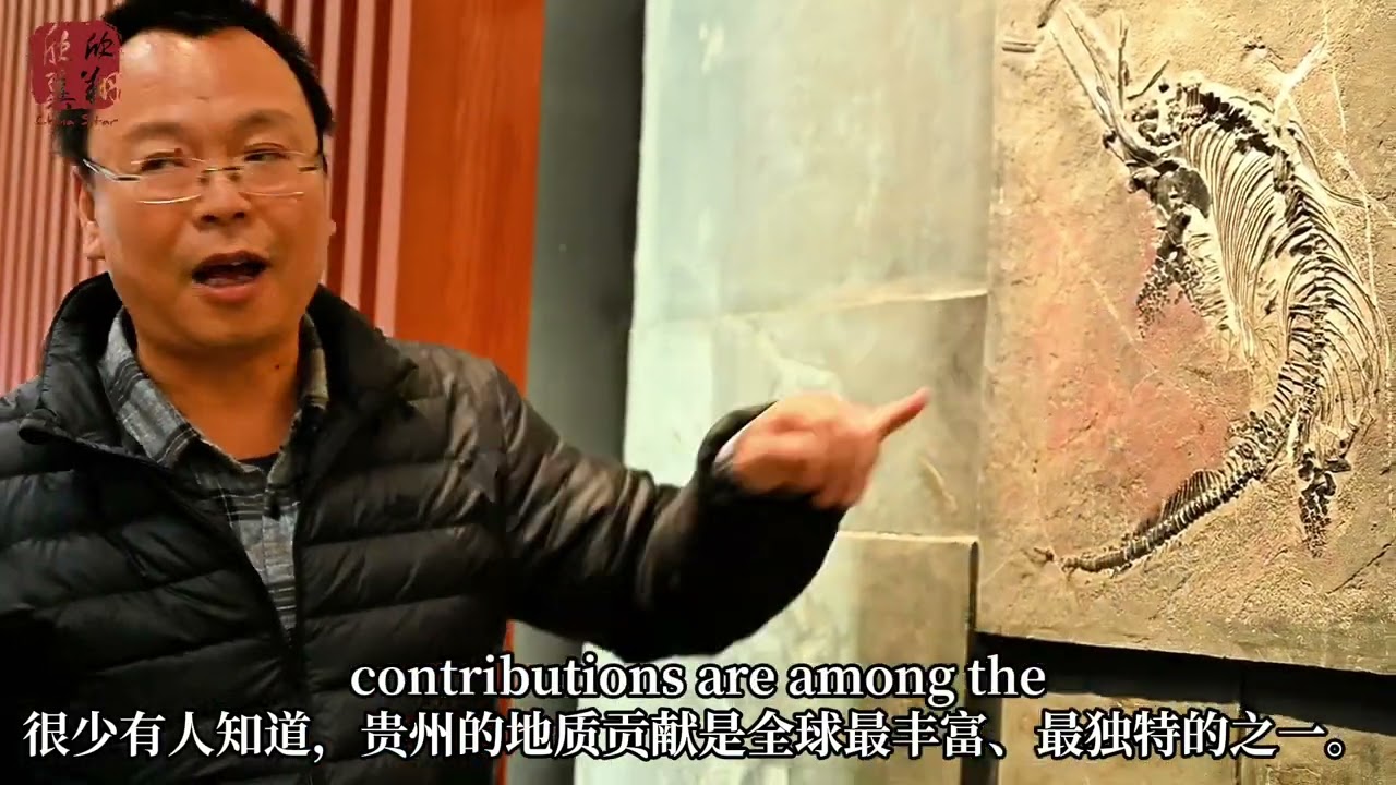 Explore the Hidden Geological Wonders of Guizhou’s Geological Museum