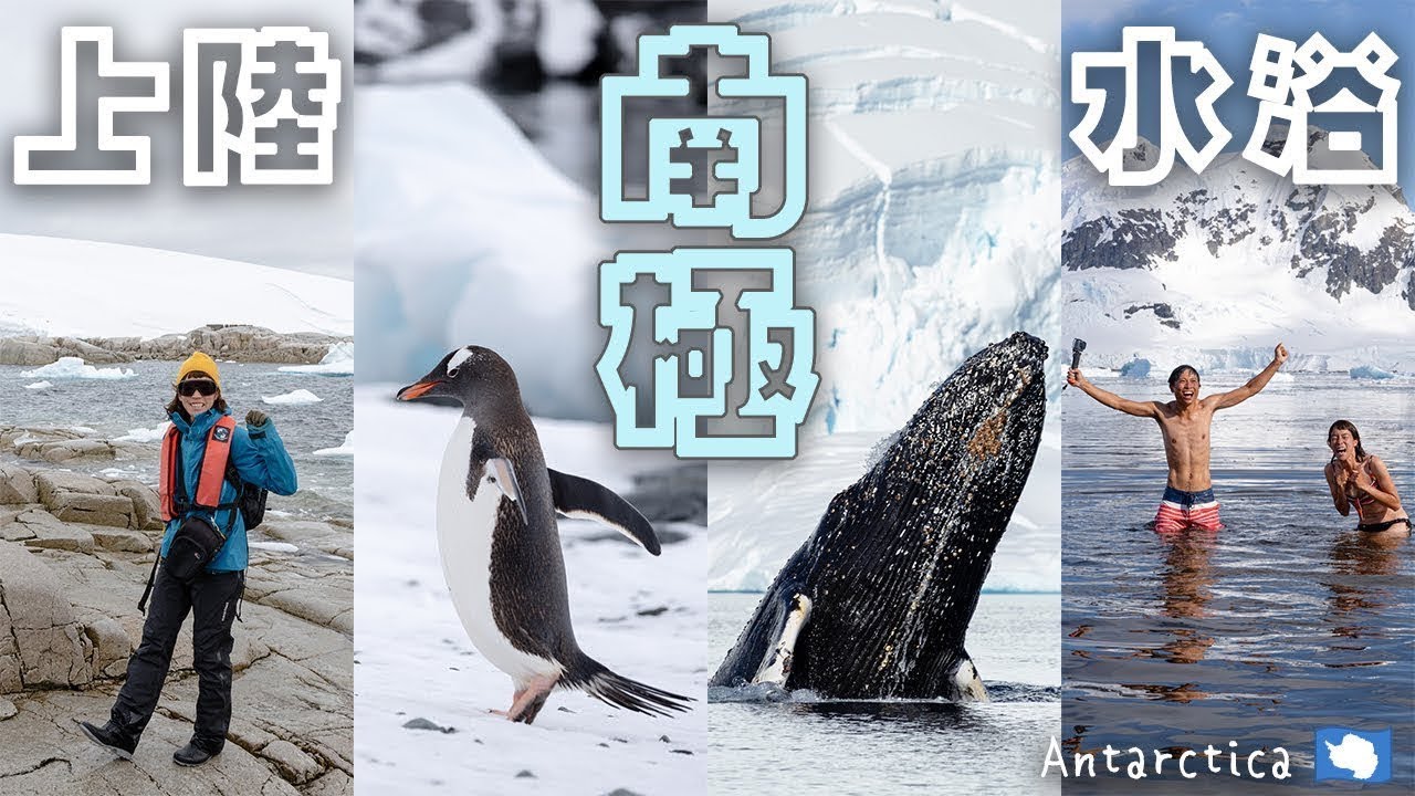 【南極クルーズ#2】南極大陸に上陸！ペンギンもクジラもアザラシも。動物達の世界にお邪魔します。【北中南米ちゃり旅 -番外編- サウスシェトランド諸島&南極半島】