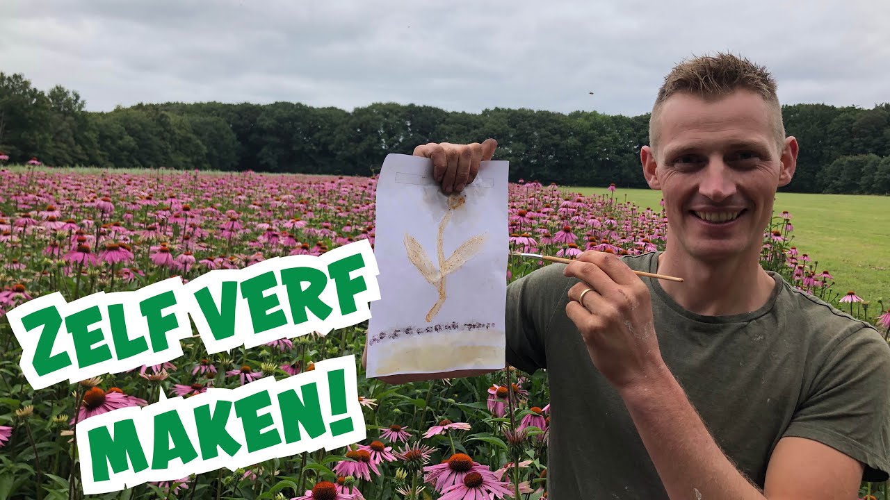Verf maken van planten en bloemen DIY