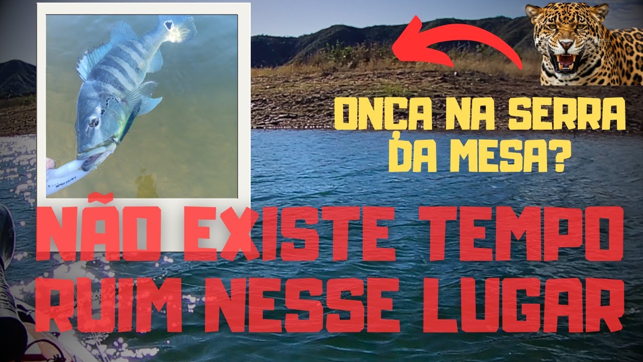 Será que era 🐆? Muita vida na Serra da Mesa