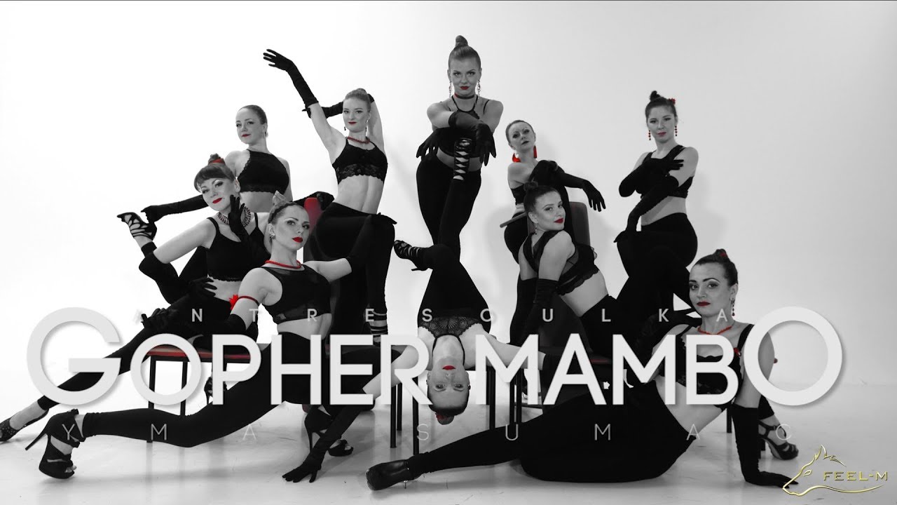 GOPHER MAMBO | Sasha Bragina Choreo