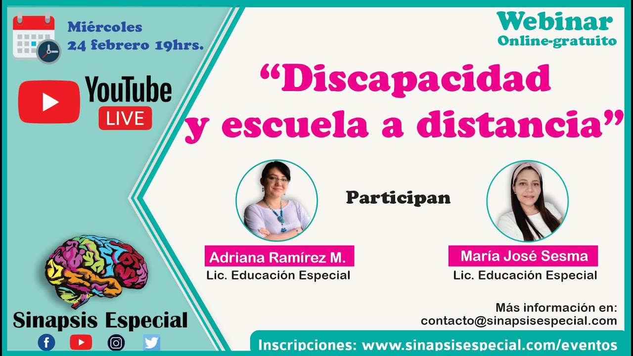 DISCAPACIDAD Y EDUCACIÓN A DISTANCIA WEBINAR
