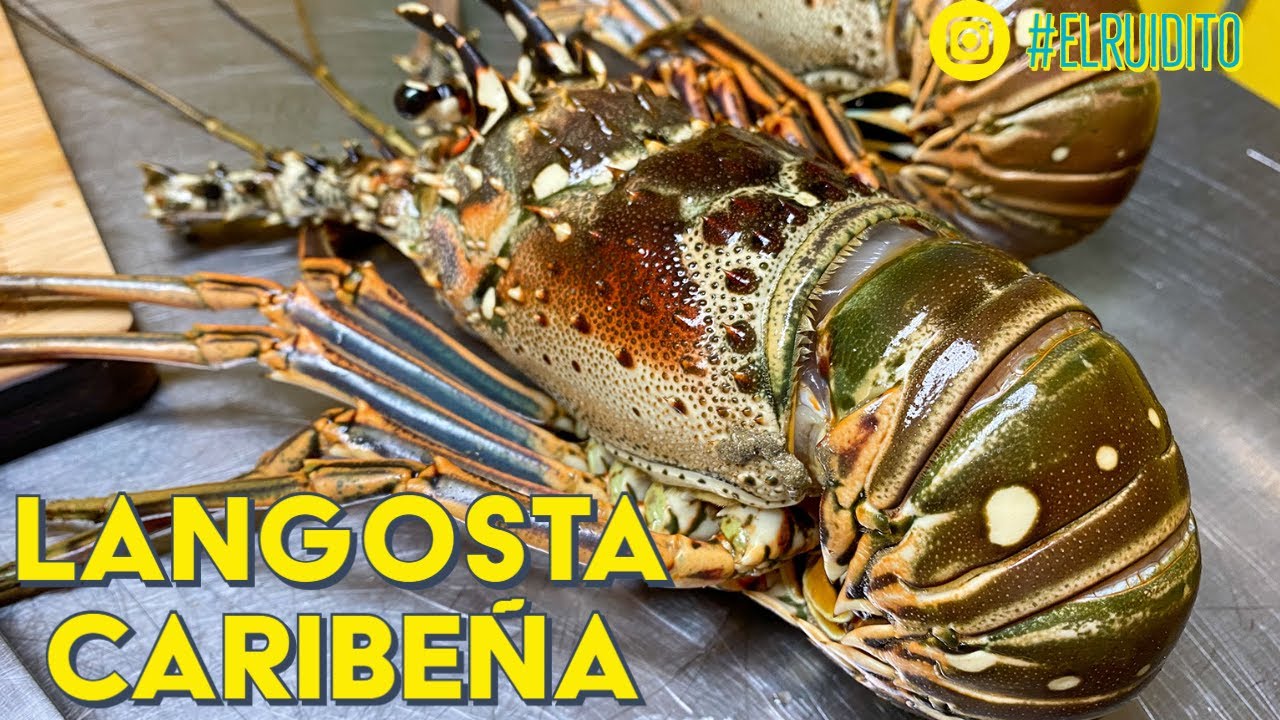 Langosta de Puerto Rico a la Parrilla | Salt Flakes