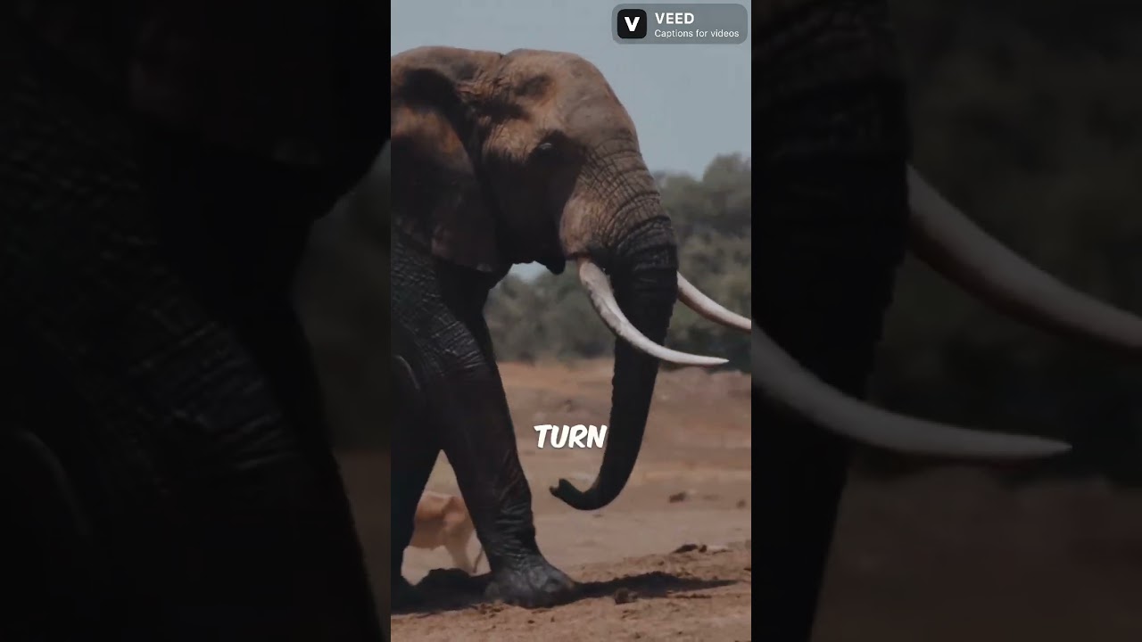 World&rsquo;s Deadliest Animals: 30 Seconds of Danger
