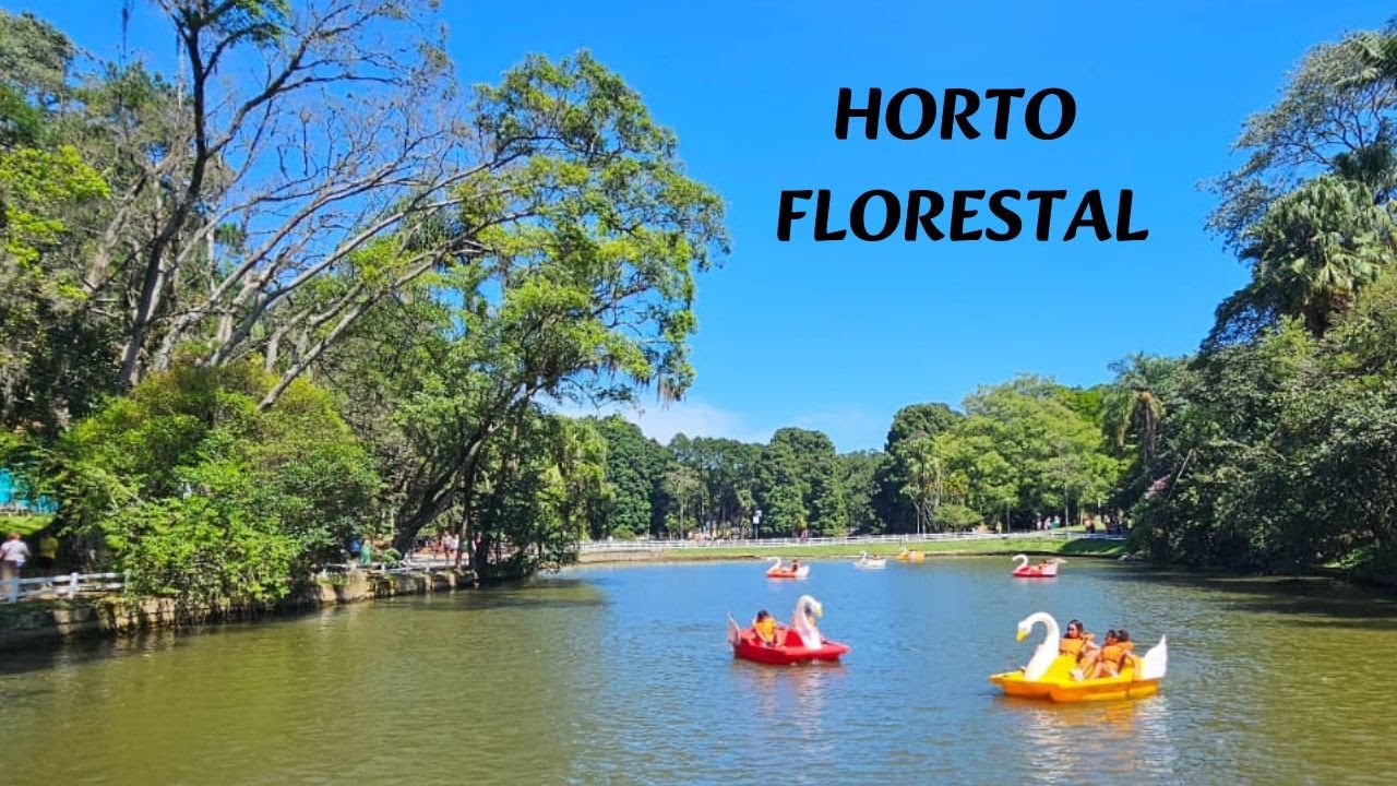 Horto Florestal - Passeio na Zona Norte da cidade de São Paulo - 13° Temp - Ep 43