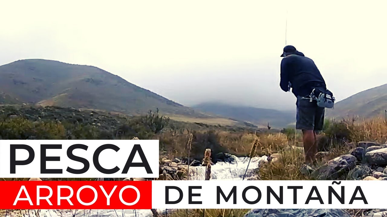 PESCA EN ARROYO DE MONTAÑA, 🔥(MIRA EL VÍDEO)⚠️ PESCA CON MOSCA, FLY FISHING, LA CARRERA TUPUNGATO