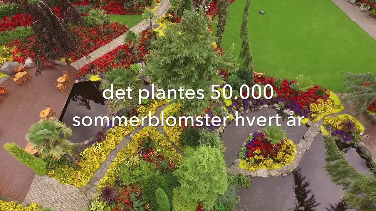 Historien om Flor & Fjære