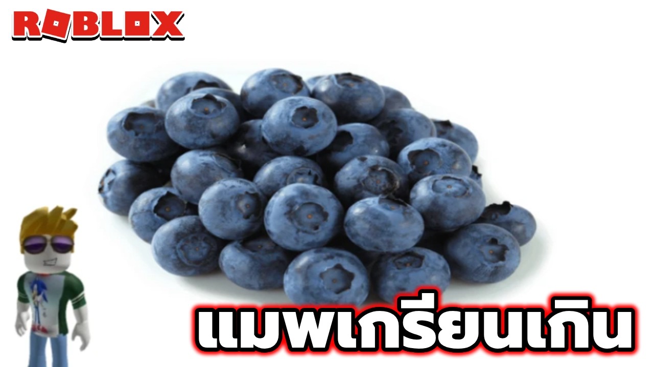 นี้คือแมพสุดเกรียนที่ทําให้คุณหัวร้อน Roblox blueberry