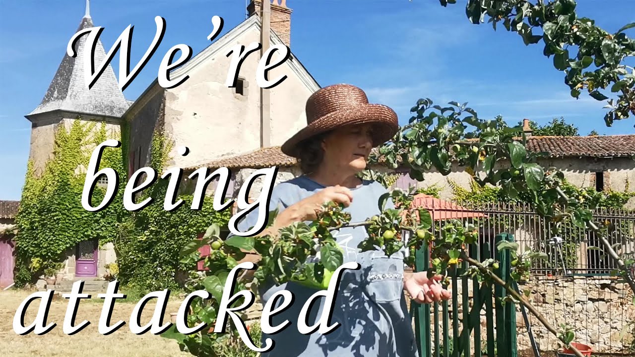 Episode 120 Under attack