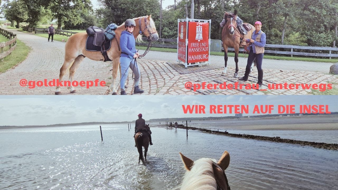 Drei Tage an der Küste Wanderitt nach Neuwerk und Scharhörn mit @Goldknoepfe