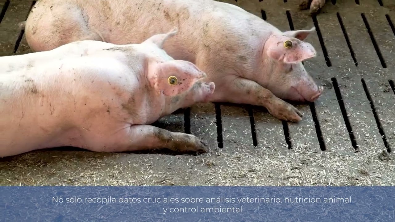 Vall Companys abre las puertas de su granja 5.0