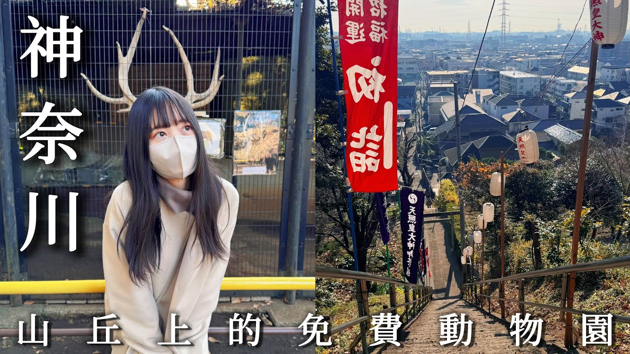 山丘上的迷你動物園 見我最愛的狸貓❤夢見崎動物公園｜開箱今年唯一的福袋｜墨爾本咖啡廳｜神奈川 川崎｜日本旅遊、Satori日本生活