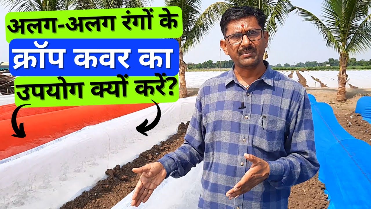 Why use different colored crop cover? अलग-अलग रंगों के क्रॉप कवर का उपयोग क्यों करें?