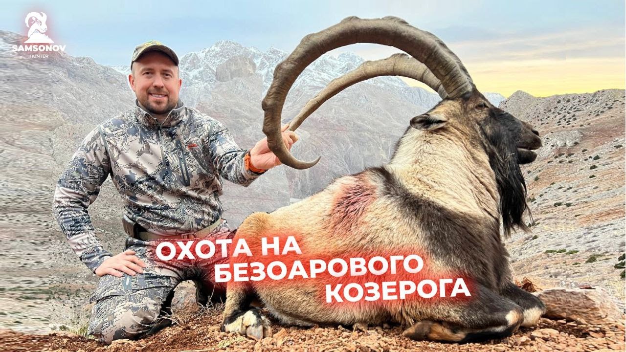 Охота на Безоарового Козерога в Турции