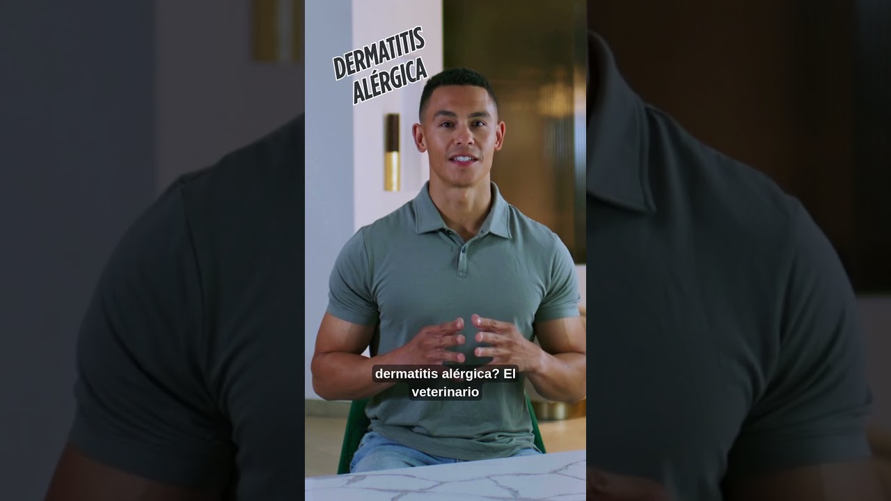 &iquest;Qu&eacute; es la dermatitis al&eacute;rgica en perros y c&oacute;mo ayudar a tu mascota?