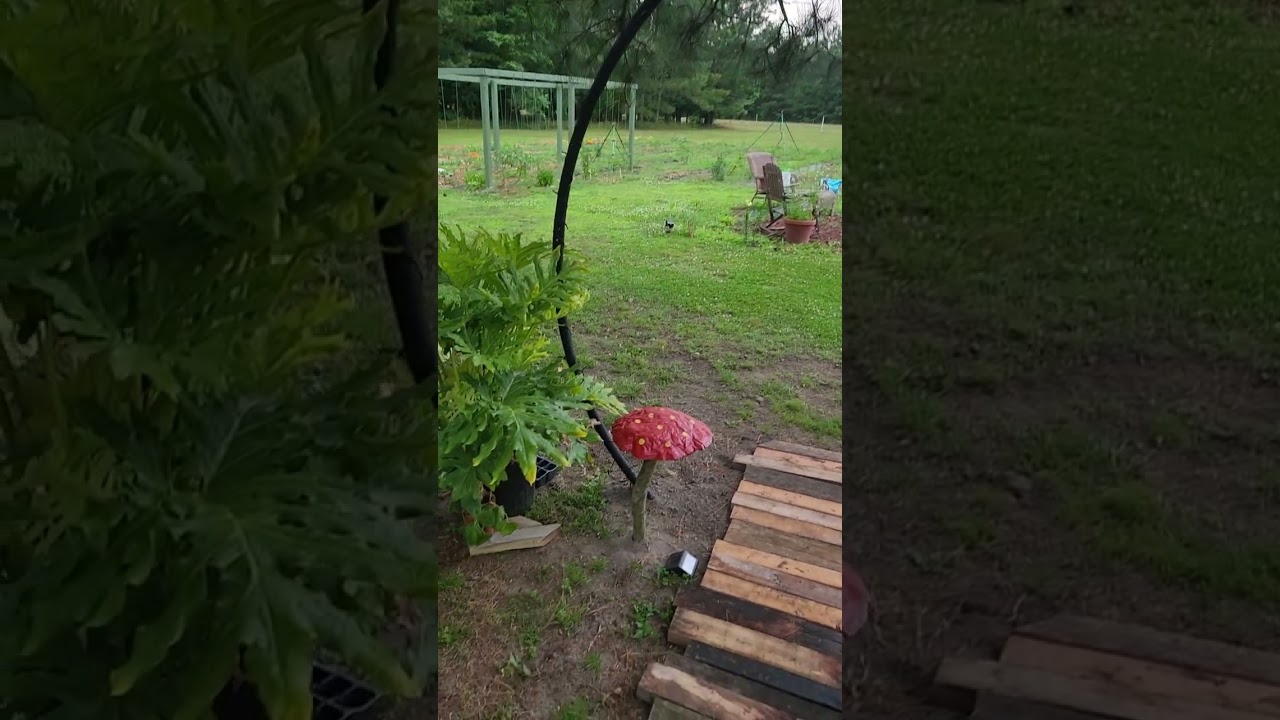 Making a Moongate out of an old trampoline 🌕✨️🌿