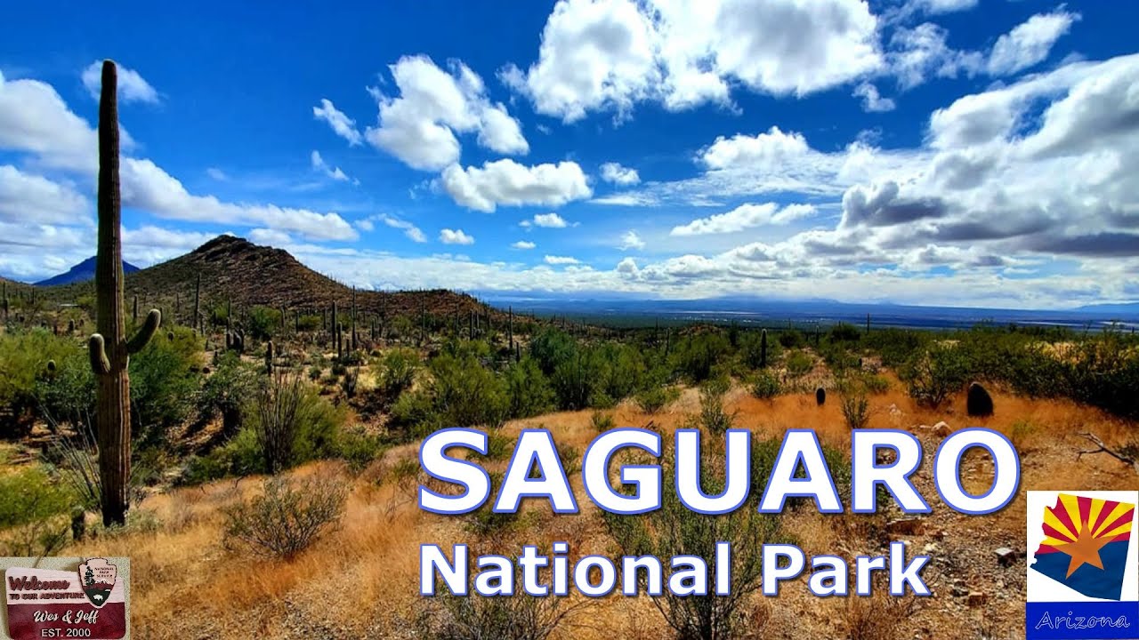 Saguaro National Park - Arizona