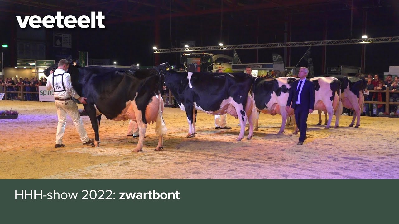 HHH-show 2022:  zwartbont