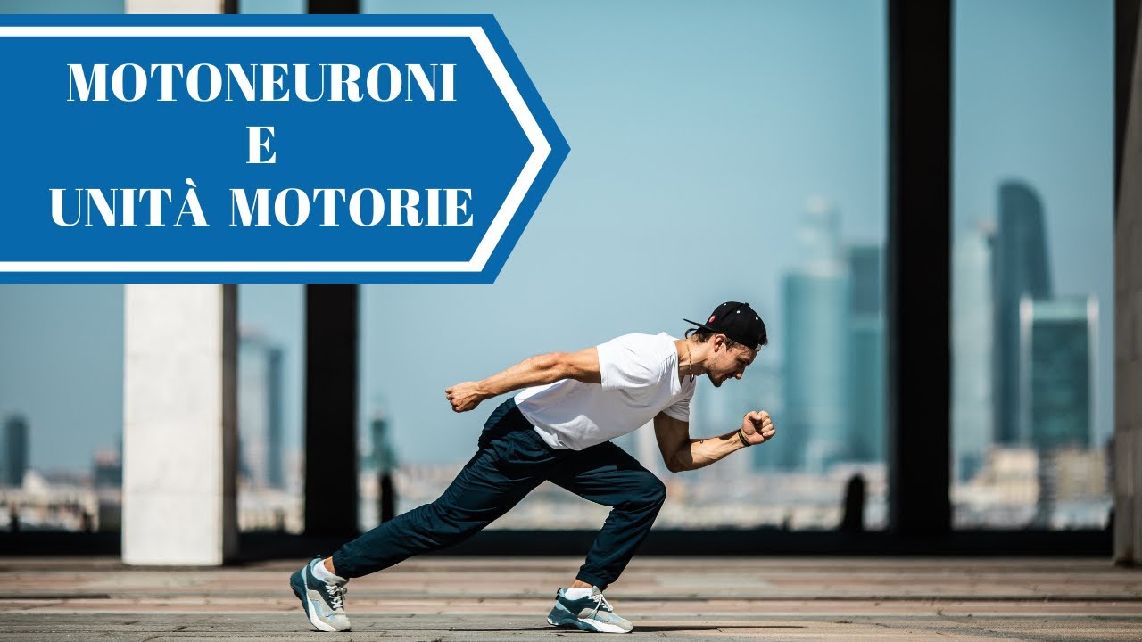 [ITA] CONTRAZIONE MUSCOLARE: Motoneuroni e Unità Motorie