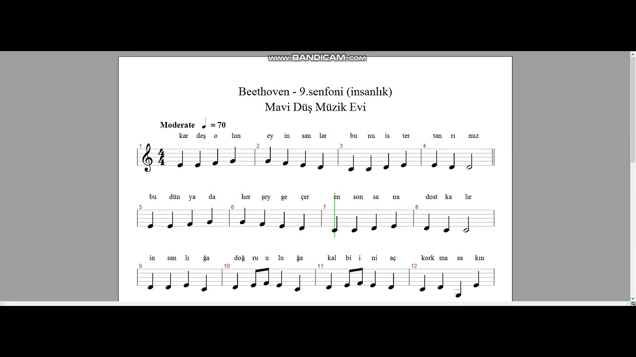 Beethoven - 9.senfoni (insanlık) Yeni başlayanlar için