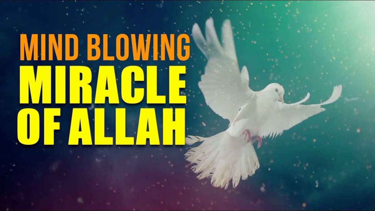 When Ibrahim (AS) Asked Allah For MIRACLE (Amazing Story)