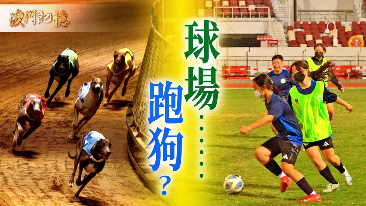【澳門記憶】球場……跑狗？