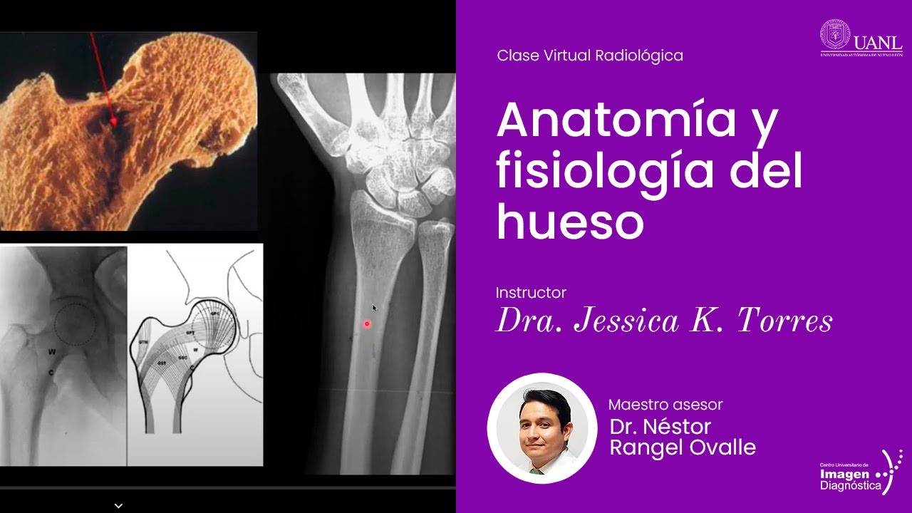 Anatomía y fisiología del hueso por la Dra. Jessica K. Torres García
