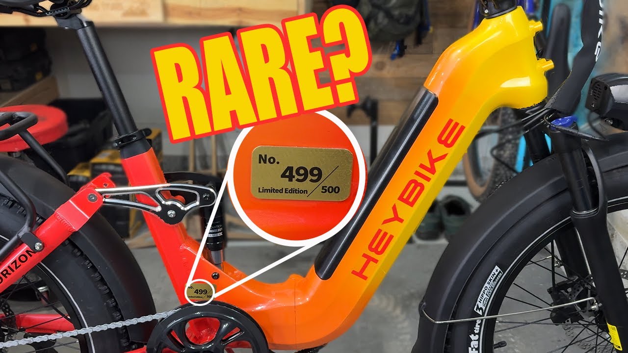 They Made It Limited But Did They Make It Any Good - HeyBike Horizon