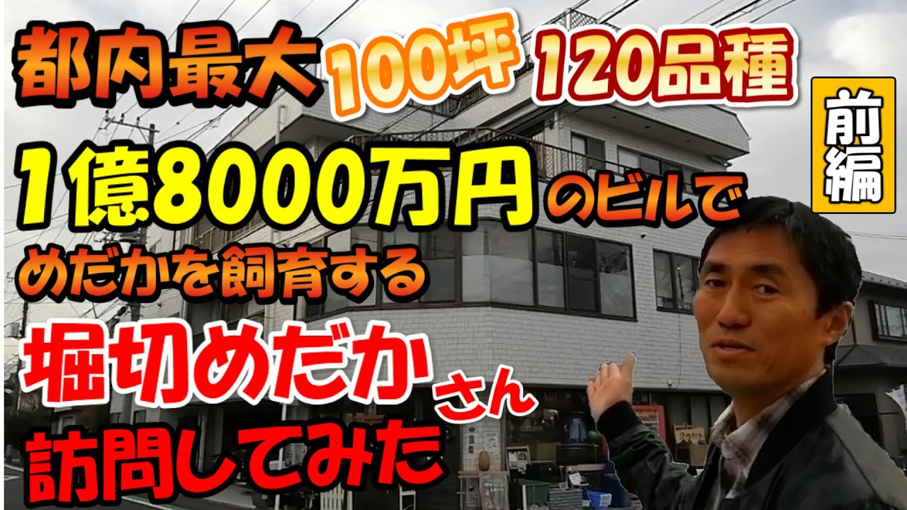 【堀切めだか】さんのめだか飼育場を訪問（前編）