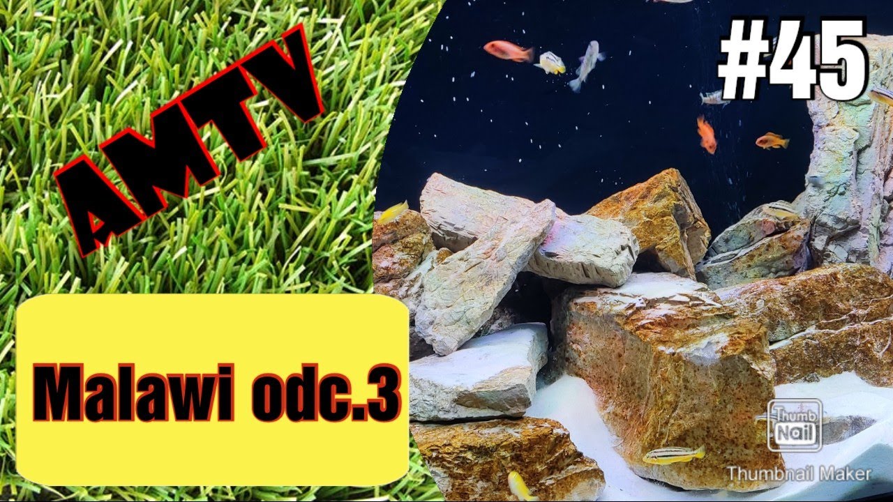 45#Malawi - Jak założyć akwarium z biotopem jeziora Malawi. Część 3: Filtr Kasetowy.