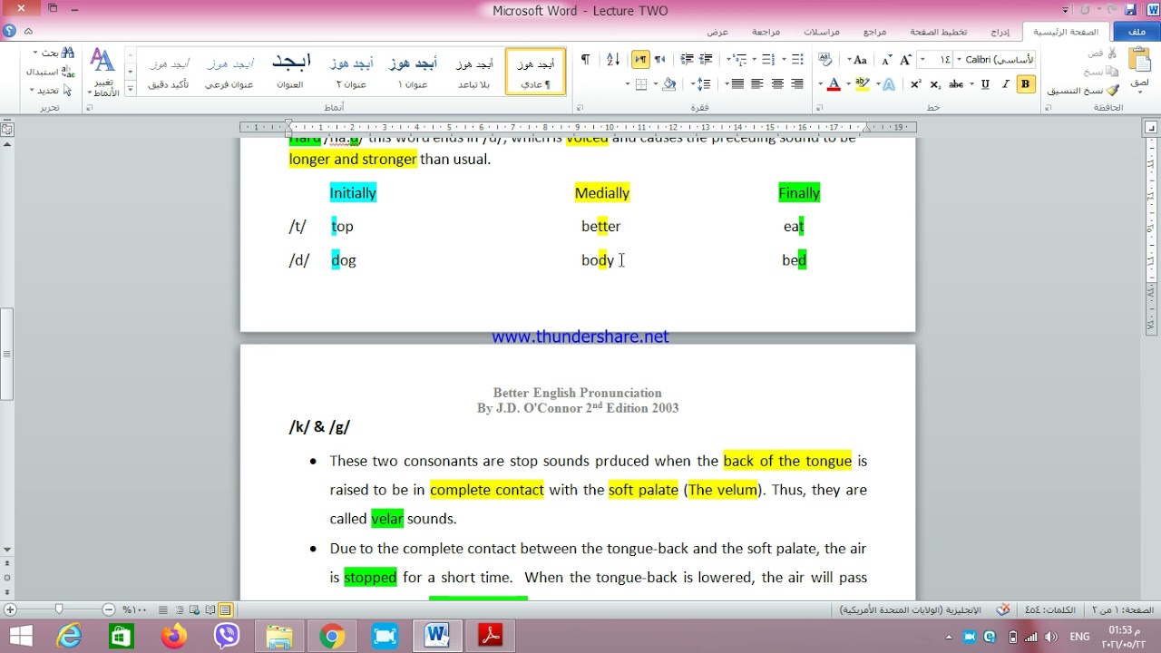 First Year: Stop Consonants, /t/, /d/, /k/ and /g/.