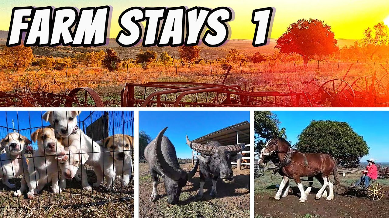 Farm Stays 1