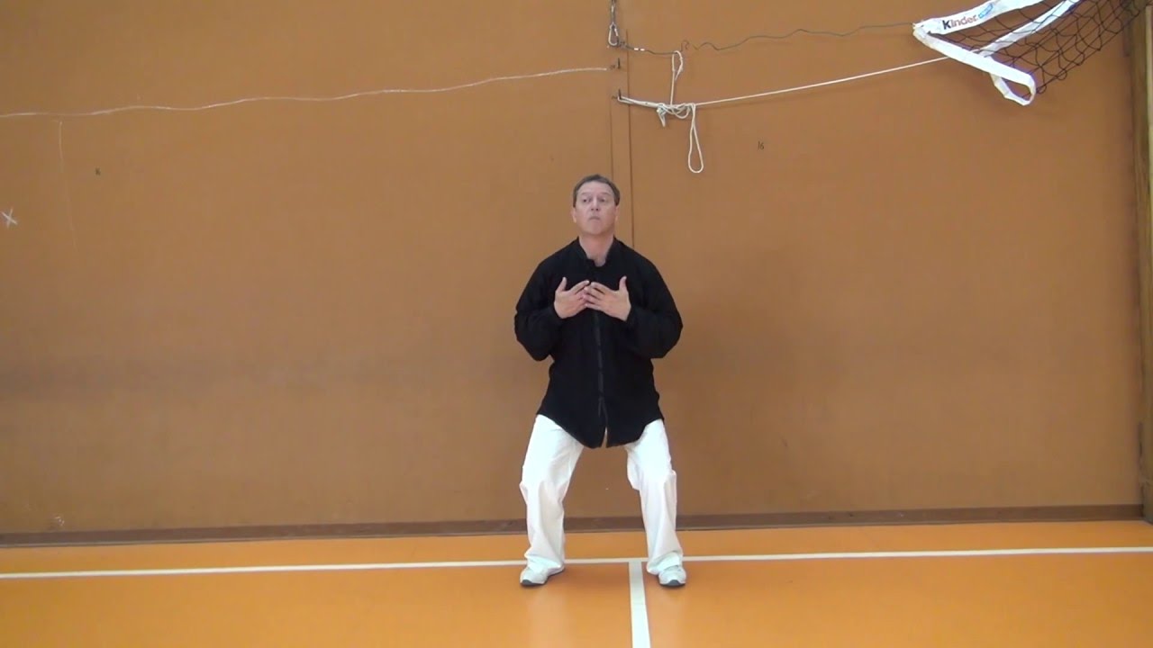 CORSI DI TAI CHI E QI GONG A ROMA – I 18 Esercizi per il Benessere. 18 