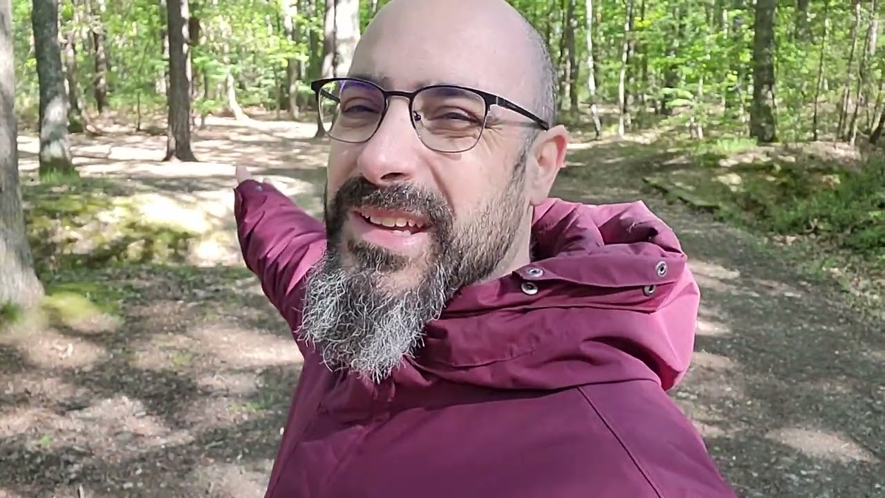 Esprits de la Nature fées faunes lutins elfes vouivre dragons : promenade énergétique en forêt