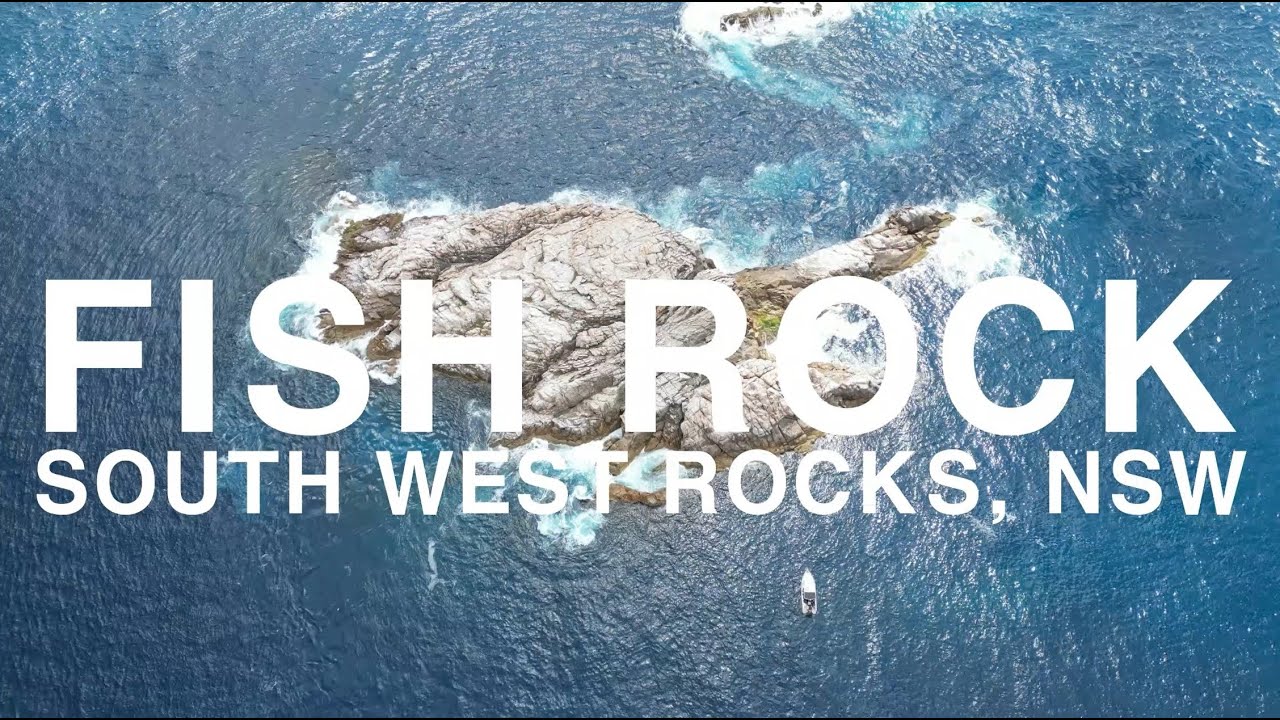 Fish Rock Scuba Dive 2023 (South West Rocks, NSW)