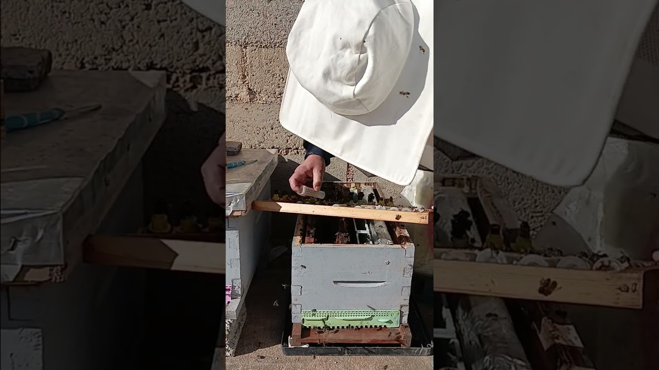 نرجو منكم الدعم لاني مبتدئ في اليوتيوب 