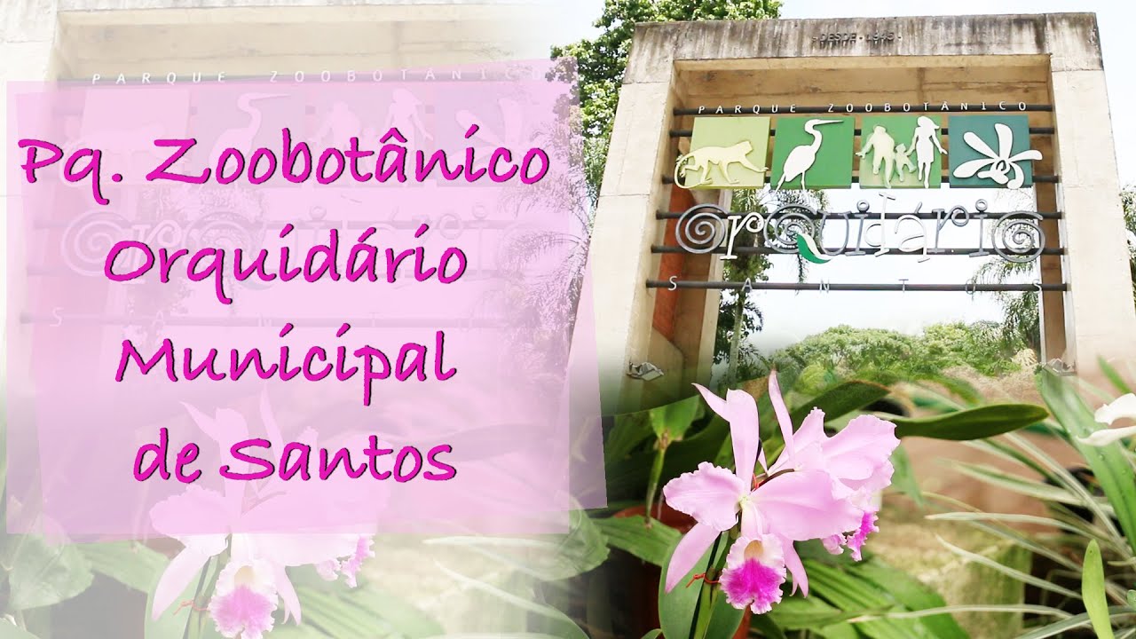 CI 465 - Orquid&aacute;rio de Santos
