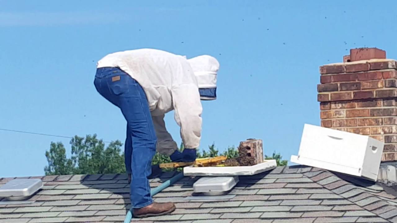 Chimney Bee Removal By Hughes Apiary