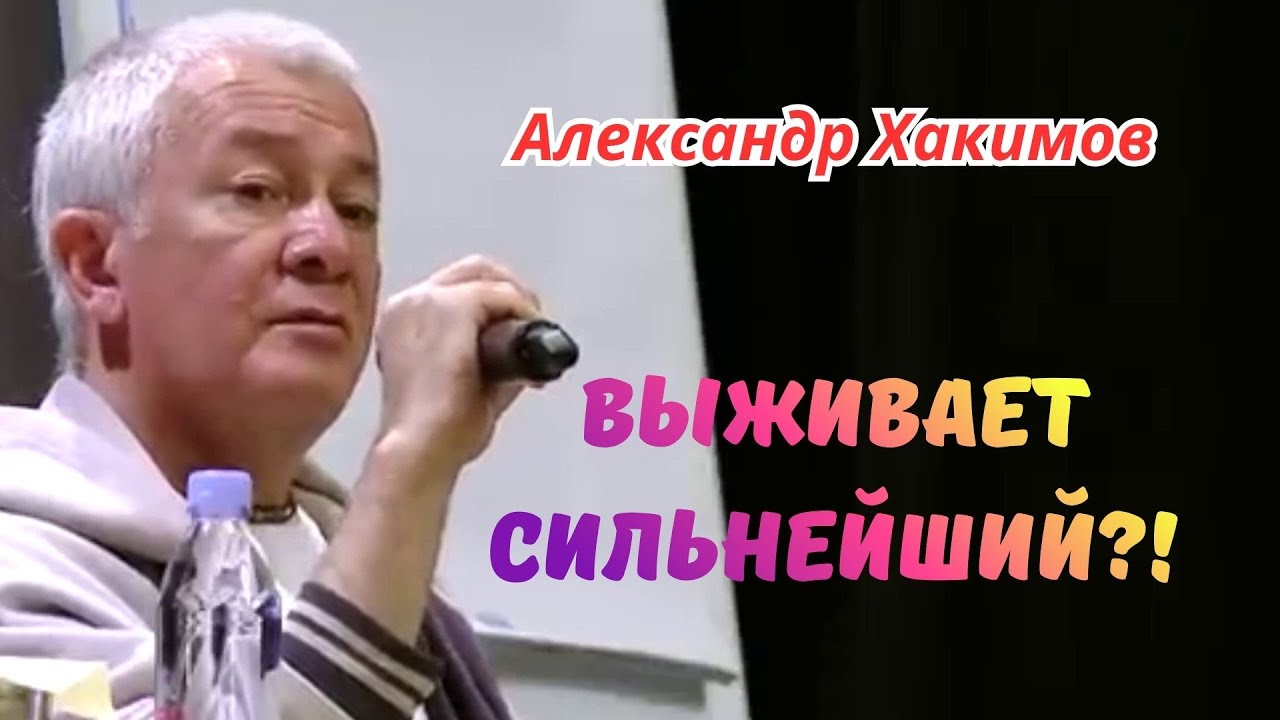 Как привлечь успех и счастье в свою жизнь? Александр Хакимов.
